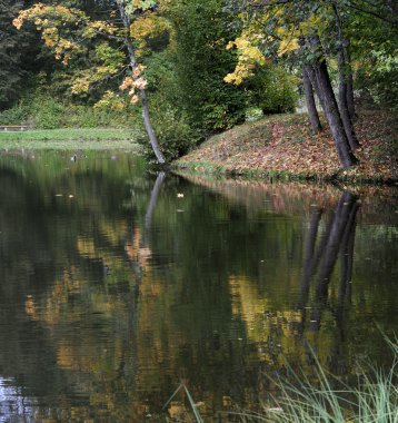 Şehir parkında sonbahar