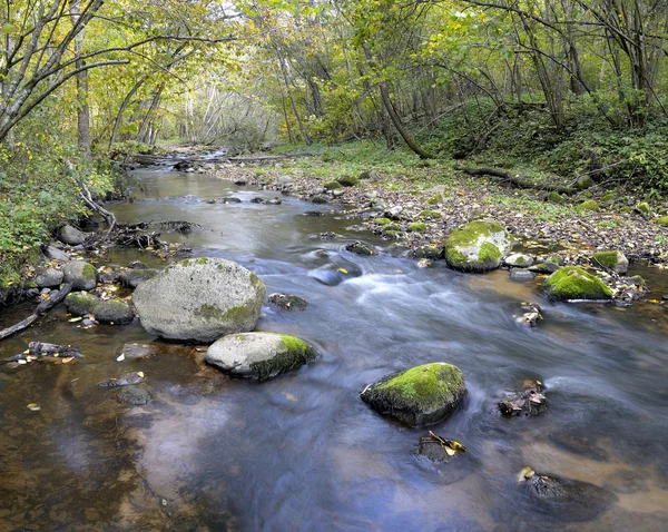 stock image Panorama of a wild river in autumn