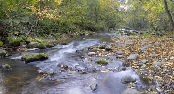 Πανόραμα του ένα άγριο ποτάμι το φθινόπωρο — Φωτογραφία Αρχείου