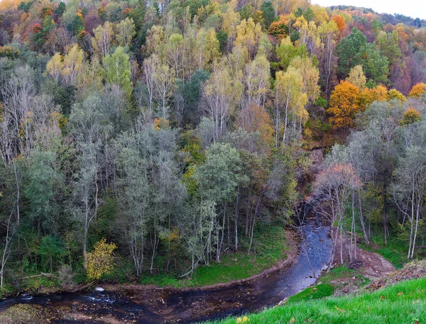 秋に野生の川の風景 — ストック写真