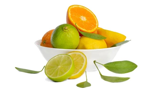 Lemos, limoenen (lemmetjes) en oranje — Stockfoto