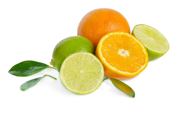 Orange und Limetten — Stockfoto