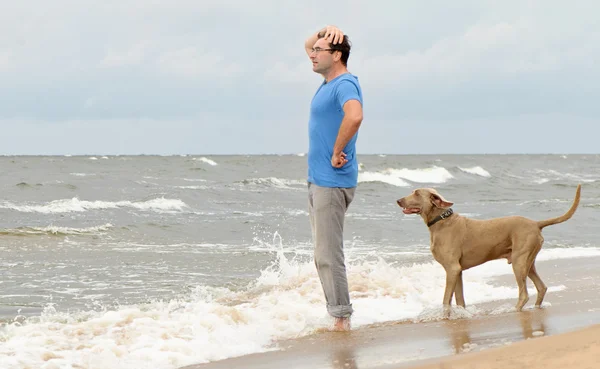 Människa och hund på seacoast — Stockfoto