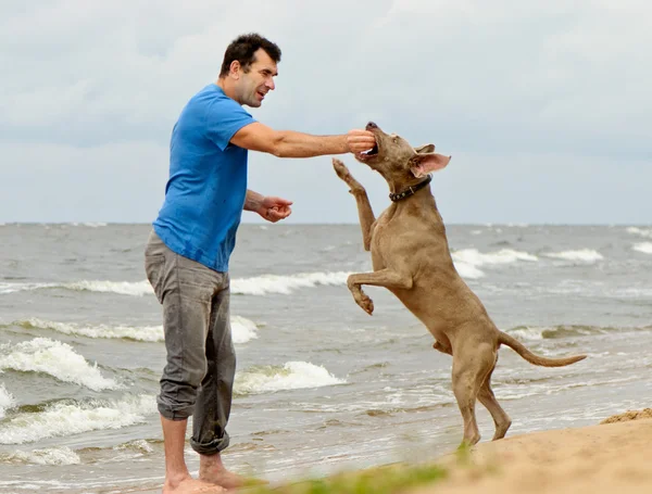 Muž a pes na pobřežní — Stock fotografie