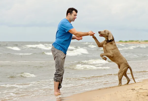 Man and dog on seacoast — Stock Photo, Image