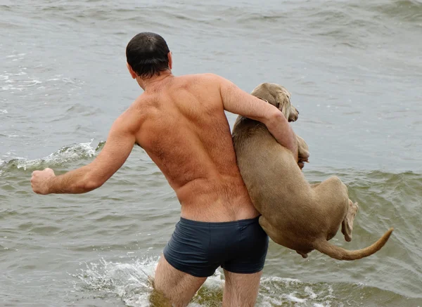 stock image Man and dog in water
