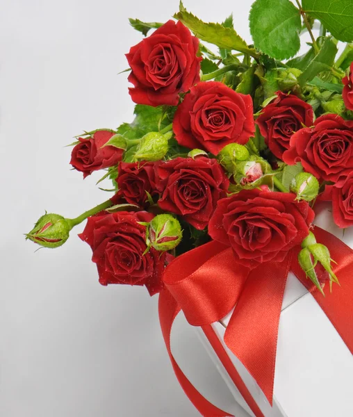 Růže a dárek — Stock fotografie
