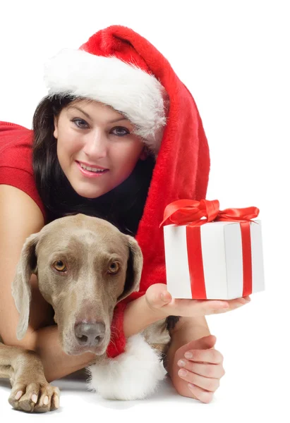 Young woman,dog with gift — Stock Photo, Image