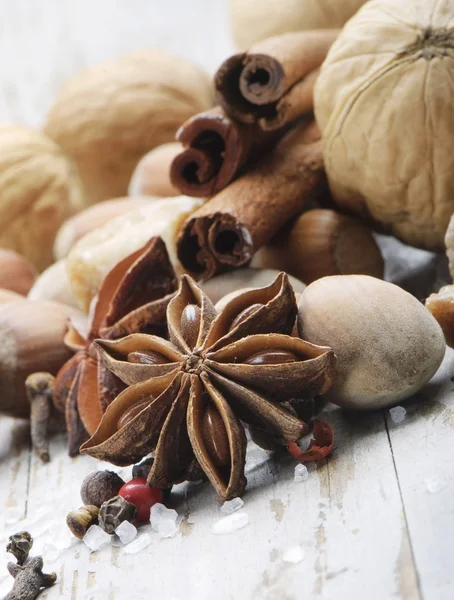 stock image Spices and nuts