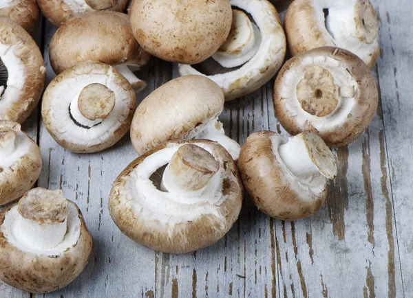 Kahverengi champignon — Stok fotoğraf