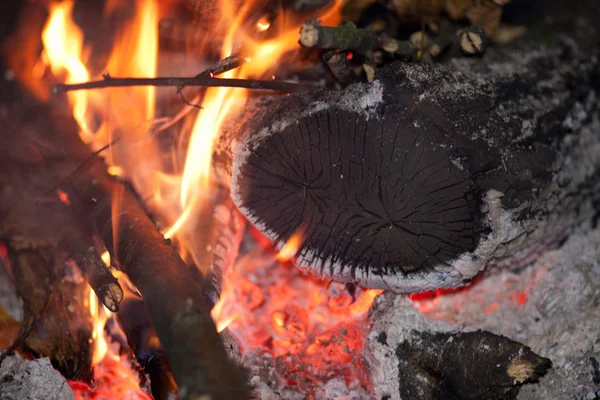 火と薪 ロイヤリティフリーのストック画像