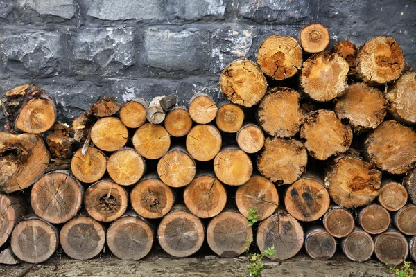 Pile de bois de chauffage — Photo