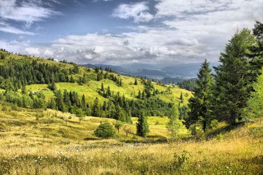 Mountains landscape in Carpathians, Ukrain clipart