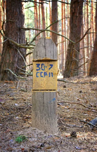 stock image Wooden signpost in a forest