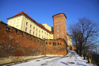 Royal Wawel Castle in Krakow, Poland clipart