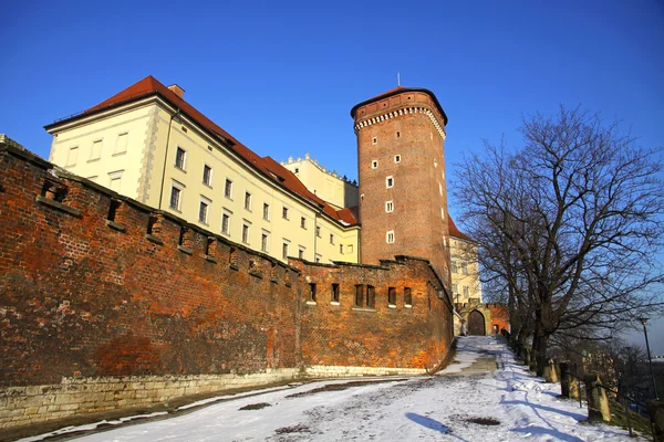 stock image Royal Wawel Castle in Krakow, Poland