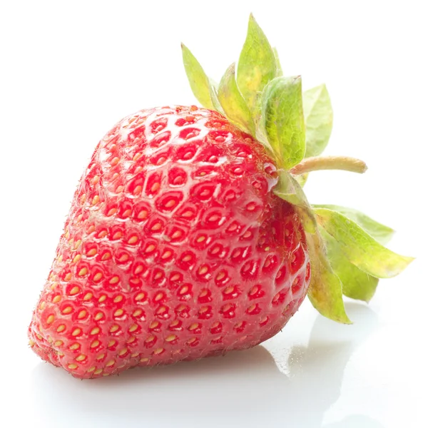 Φράουλες απομονωθεί — Φωτογραφία Αρχείου