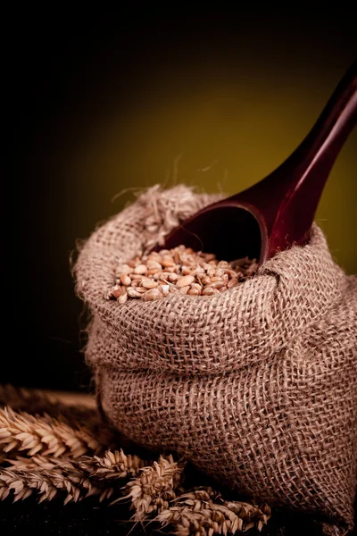 Pšenice v pytli — Stock fotografie