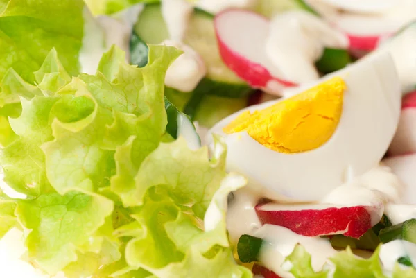Салат с яйцами — стоковое фото