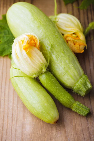 Zucchini (sommarsquash) — Stockfoto