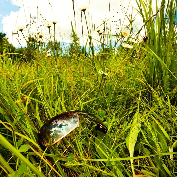 Sunglasses in grass — Stock Photo, Image
