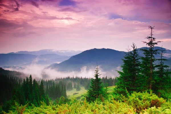 Krajobraz z mgły — Zdjęcie stockowe