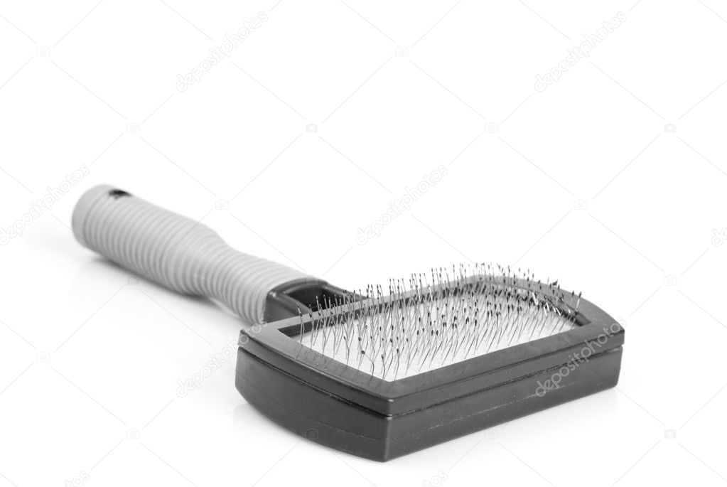 Brush for the grooming