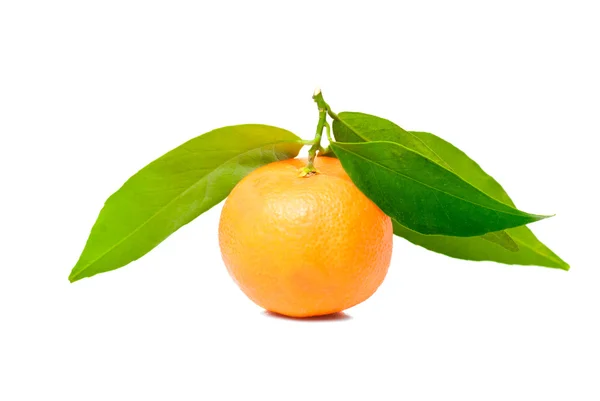 Mandarina con hojas verdes — Foto de Stock