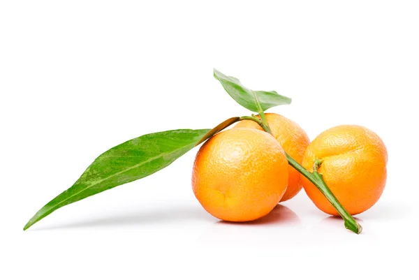 Tangerines isolées sur blanc — Photo