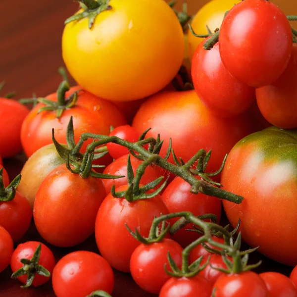 Tomates — Foto de Stock