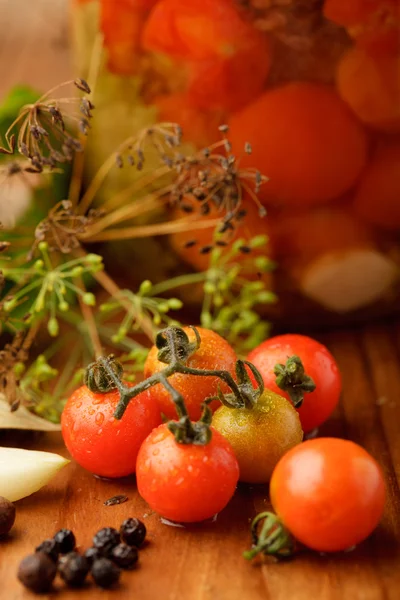 Conserves de tomates — Photo
