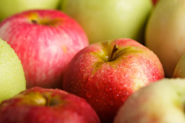 Appels bijsnijden — Stockfoto