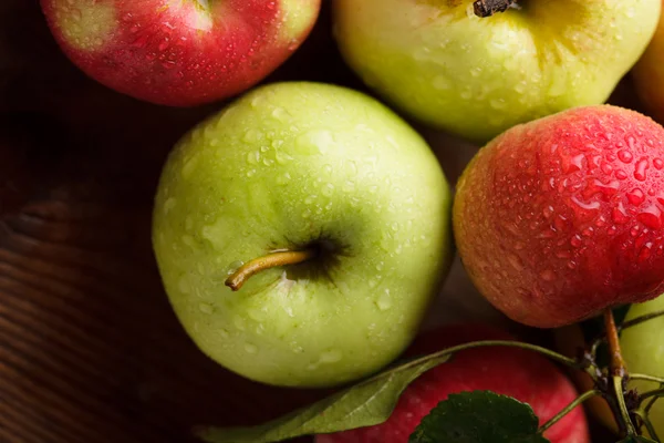 Cultivo de manzanas —  Fotos de Stock