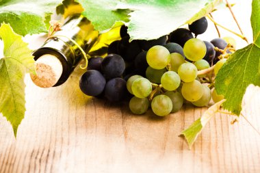 Wine and grape clipart