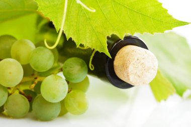 Wine and grape isolated clipart