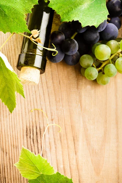 Wine and grape — Stock Photo, Image