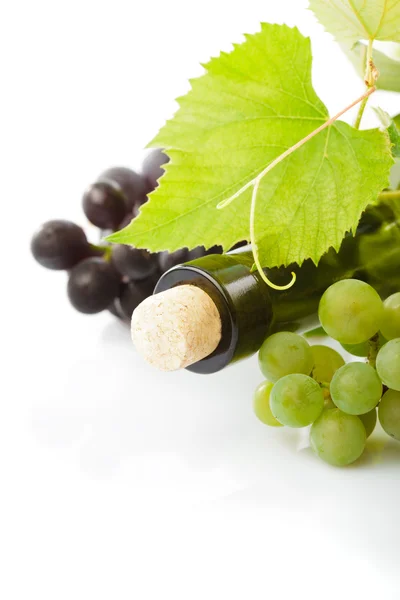 Vin och druvsaft som isolerade — Stockfoto