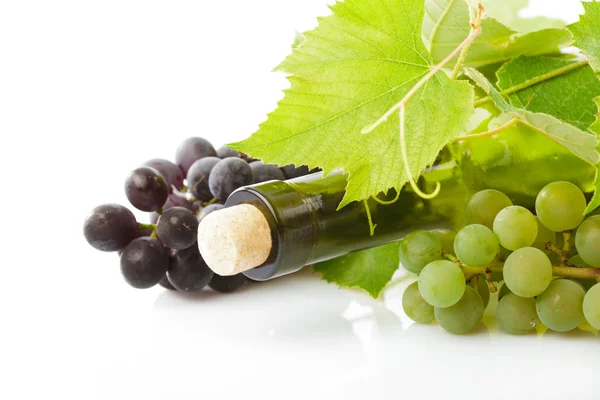 Şarap ve üzüm izole — Stok fotoğraf