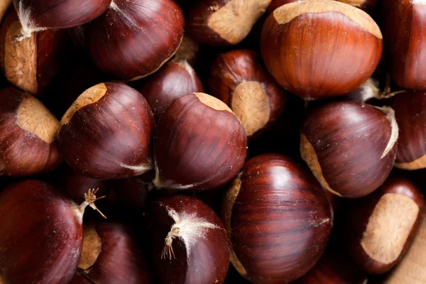 Chestnuts Royalty Free Stock Photos