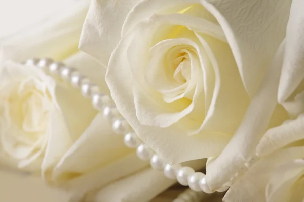 Pearl beads and cream rose — Stock Photo, Image