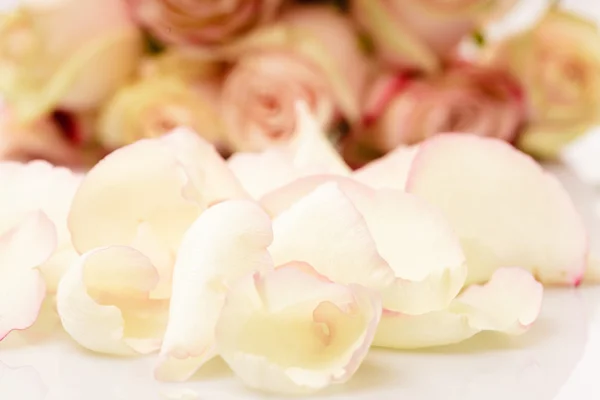 Roze rozen bloemblaadjes — Stockfoto