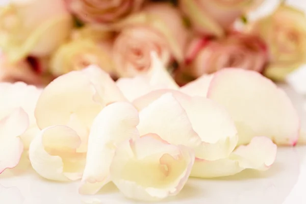 Stock image Pink roses petals