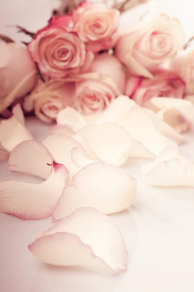 Płatki róż — Zdjęcie stockowe