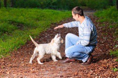 Golden retriever ve adam Park