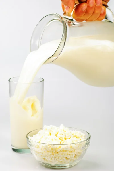 Milk and curds on white — Stock Photo, Image