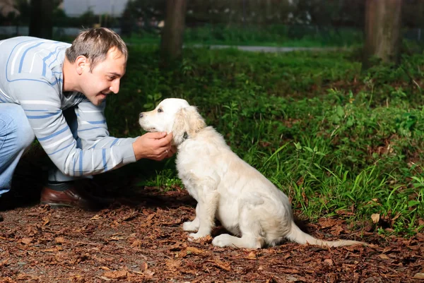 Golden retriever ve adam Park