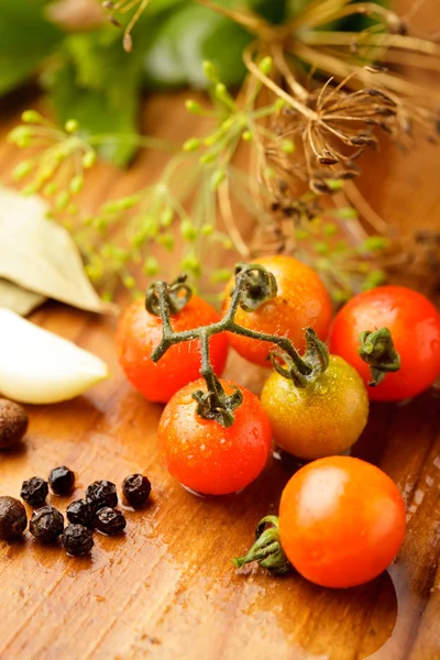 Conservas de tomate — Foto de Stock