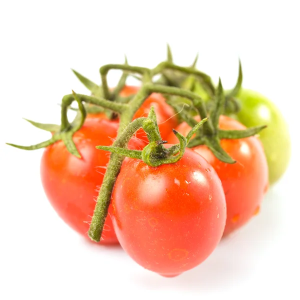 Cherry tomatoes isolated — Stock Photo, Image