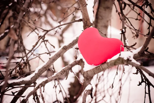Red heart on snow tree — Stock Photo, Image