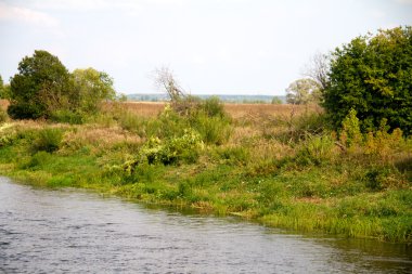 güzel nehir ve orman manzarasını